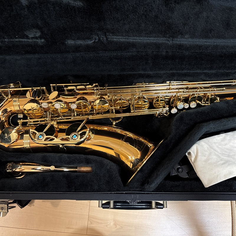 YANAGISAWA T-WO2の画像